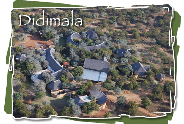 Didimala